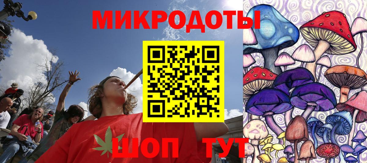 Братск  Псилоцибиновые грибы прущие грибы  Вход с VPN 