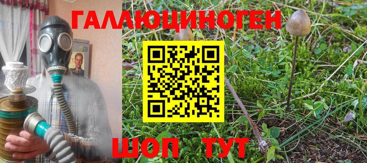 Псилоцибиновые грибы ЛСД Братск